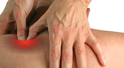 Brosch�re Fasziendistorsionsmodell